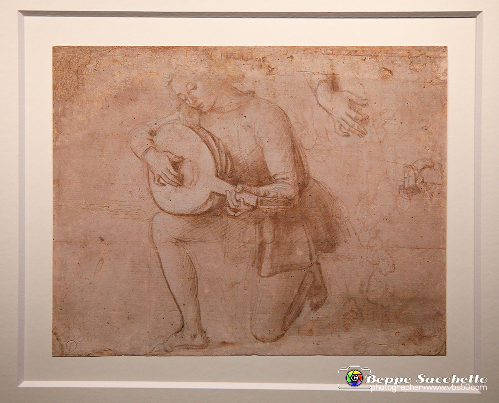 VBS_0017 - Mostra Nel segno di Raffaello.jpg